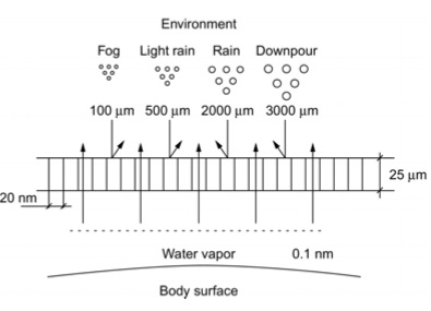 Introduction of vapor-permeable waterproof textile made by polyurethane (PU) resin
